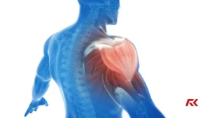 COMO CONSEGUIR DENSIDADE MUSCULAR | MIOFIBRAS X SARCOPLASMA