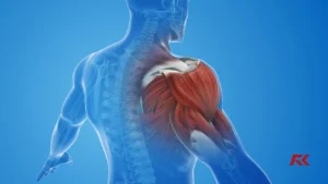 COMO A MEMÓRIA MUSCULAR PODE TE AJUDAR? ACELERA OS GANHOS DE MÚSCULOS?